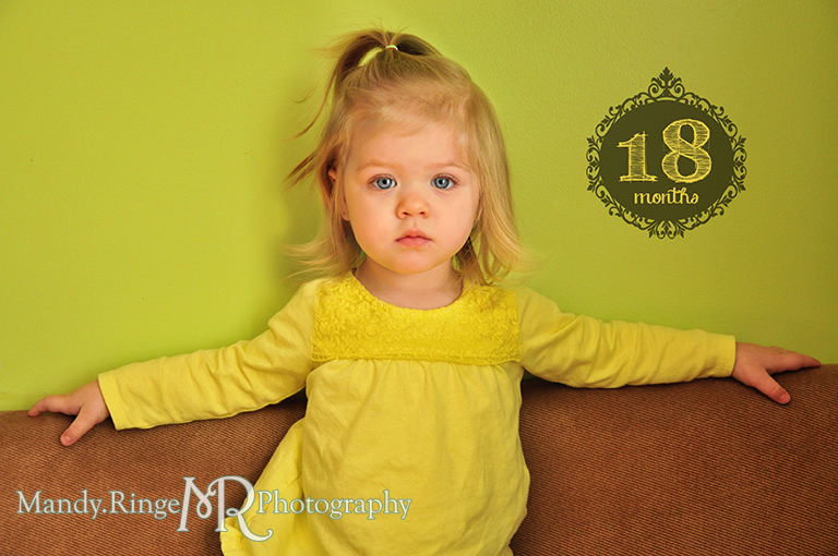 Baby girl's monthly photos - 2nd year // 18 months // by Mandy Ringe Photography