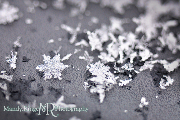 Snowflake macro // Gray background // St. Charles, IL // by Mandy Ringe Photography