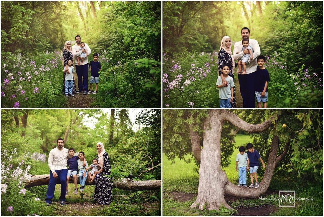 Outdoor family portraits // wildflowers, purple and white phlox, brothers, spring // Fabyan Forest Preserve - Geneva, IL // by Mandy Ringe Photography