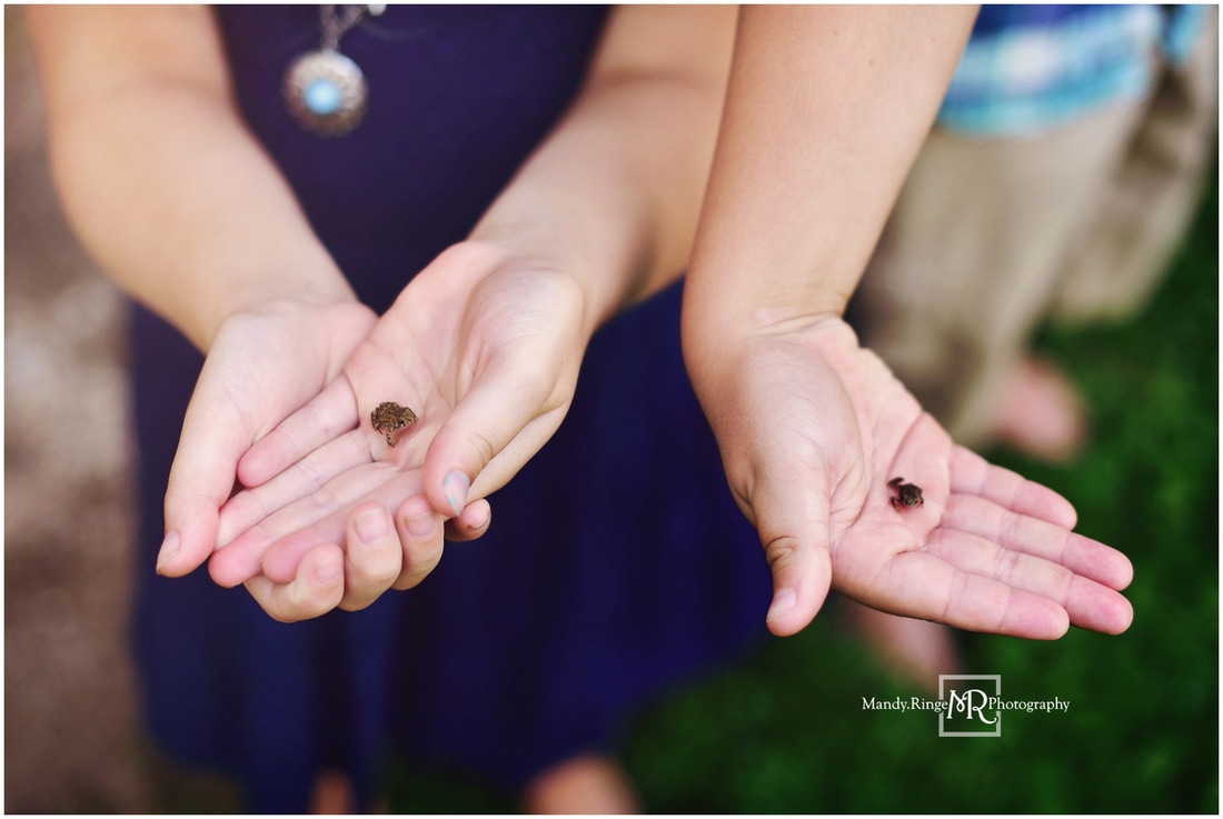 Family portraits // Siblings, outdoors, baby toads, summer // Leroy Oakes - St. Charles, IL // by Mandy Ringe Photography