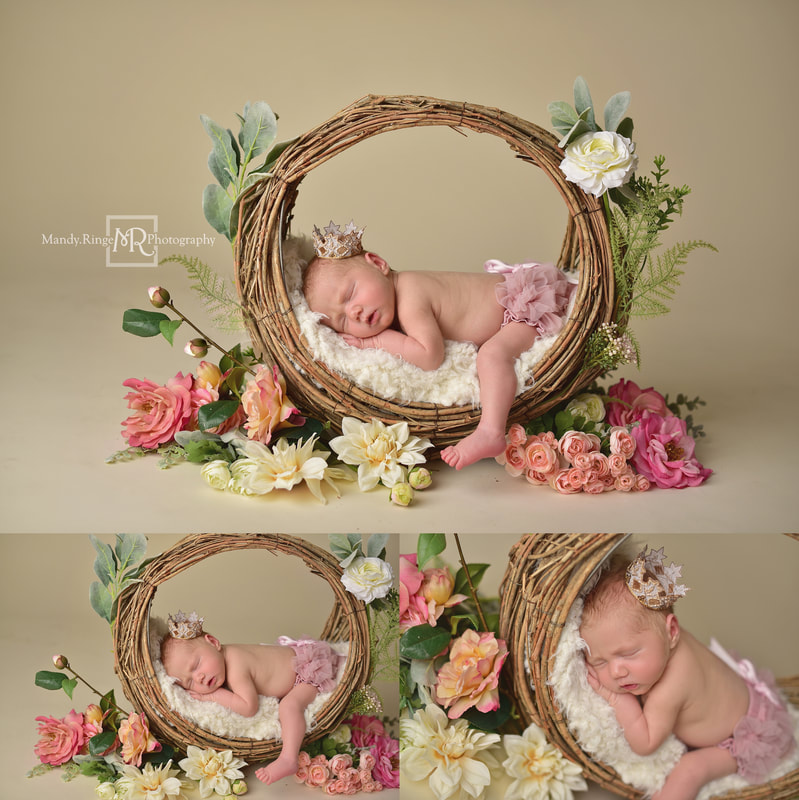 Newborn portraits // Girl, bone seamless, pink, white, willow branch basket, hoop basket, flowers, spring, crown, princess // St. Charles, IL studio // by Mandy Ringe Photography