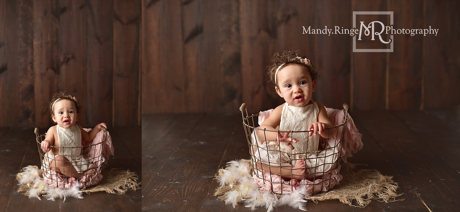 Baby girl first birthday portraits // milestone portraits, wire basket, burlap, feathers, dark wood backdrop // by Mandy Ringe Photography // St. Charles, IL Photographer