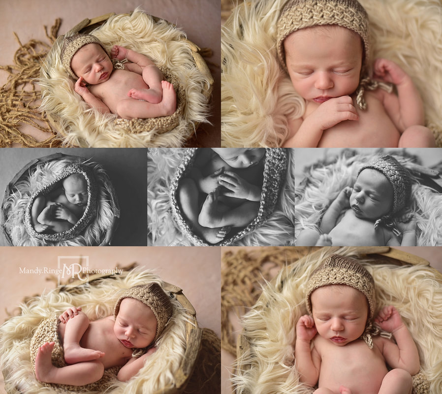 Newborn boy portraits // rustic, tan, brown, driftwood bowl // by Mandy Ringe Photography // St. Charles, IL Photographer