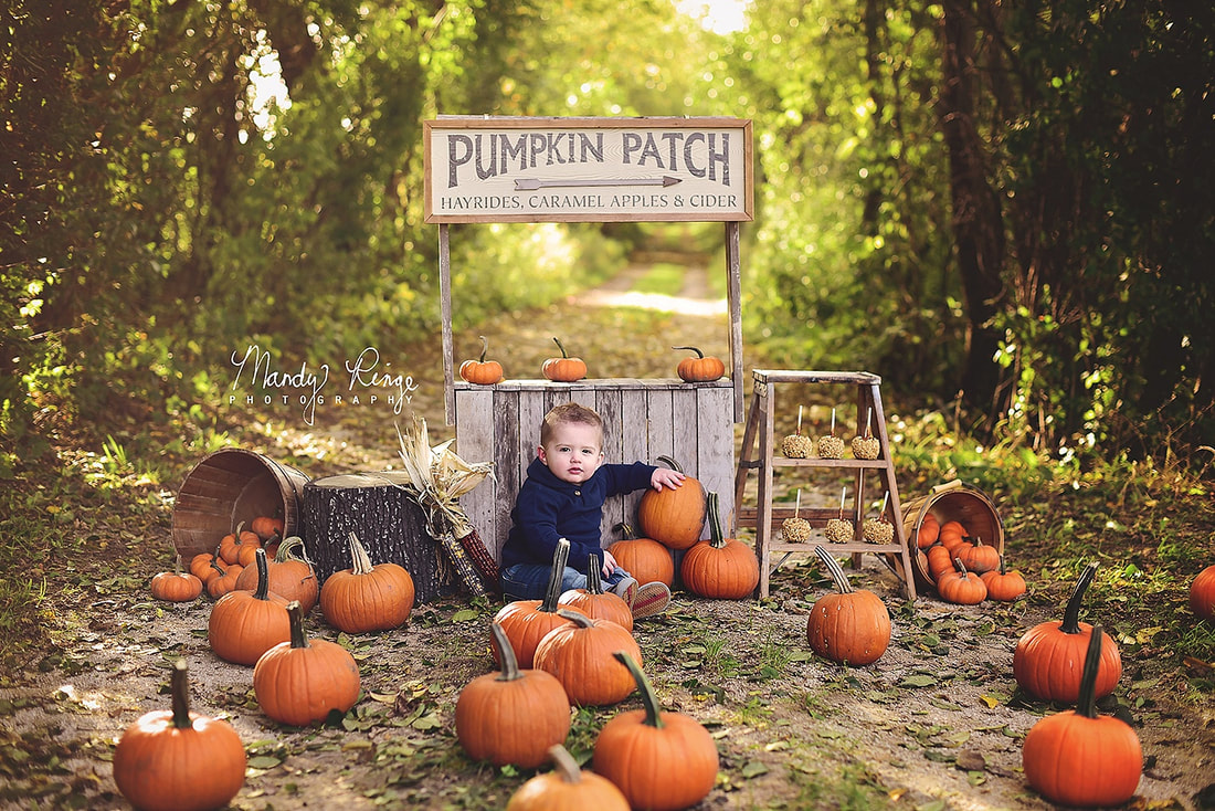 Pumpkin stand mini sessions // fall, autumn, pumpkin patch, wooden stand, caramel apples, dirt road, tree tunnel, outdoors // St. Charles, IL Photographer // by Mandy Ringe Photography