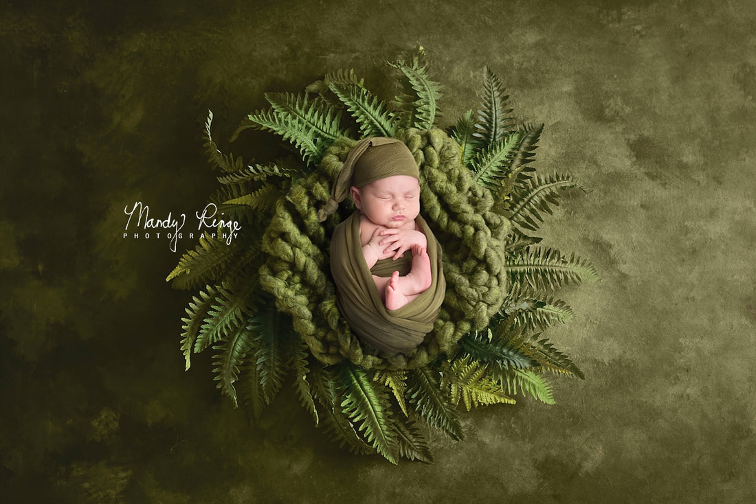 Newborn portrait session // Baby boy, fern wreath, greenery, olive green // St. Charles, IL Photographer // by Mandy Ringe Photography