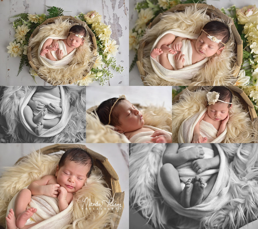 Newborn girl portraits // driftwood bowl, ivory, nude, bum up, flowers, floral, neutral // St. Charles, IL Photographer // by Mandy Ringe Photography