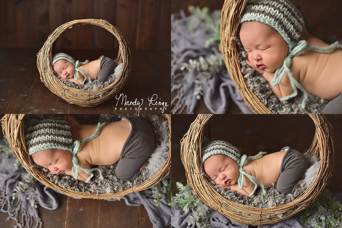Baby boy newborn portraits // studio, aqua and gray, willow branch basket, greenery, dark brown wood // St. Charles, IL // by Mandy Ringe Photography