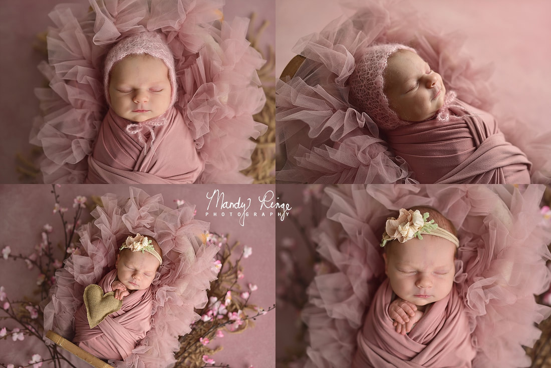 Girl newborn portrait session // pink and purple, floral, flowers // St. Charles, IL // by Mandy Ringe PhotographyPicture