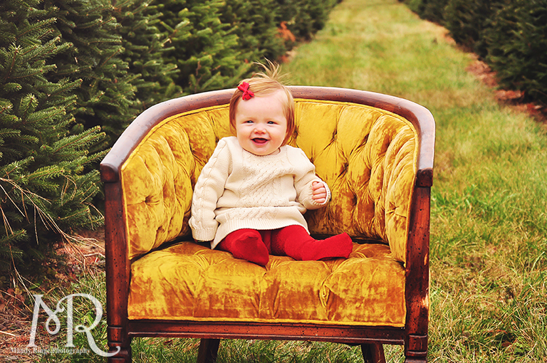 Family Christmas Portrait // Christmas Tree Farm // sitting in an antique chair with gold cushions // by Mandy Ringe Photography