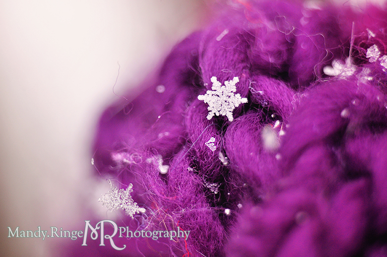 Snowflake macro // Purple scarf // St. Charles, IL // by Mandy Ringe Photography
