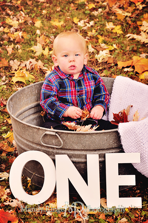 1 year old boy sitting in a wash tub with a blanket surrounded by fallen leaves // First birthday portraits // Leroy Oaks - St Charles, IL // by Mandy Ringe Photography