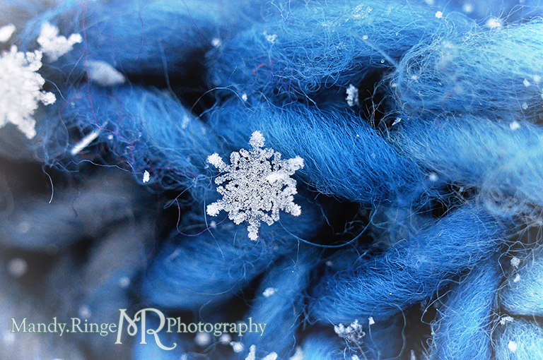 Snowflake macro // blue scarf // St. Charles, IL // by Mandy Ringe Photography
