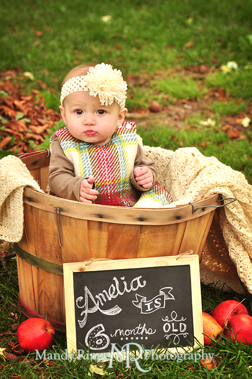 6 month old baby girl portraits // Sitting in an apple basket with a chalkboard sign // Cantigny Gardens - Wheaton, IL // by Mandy Ringe Photography