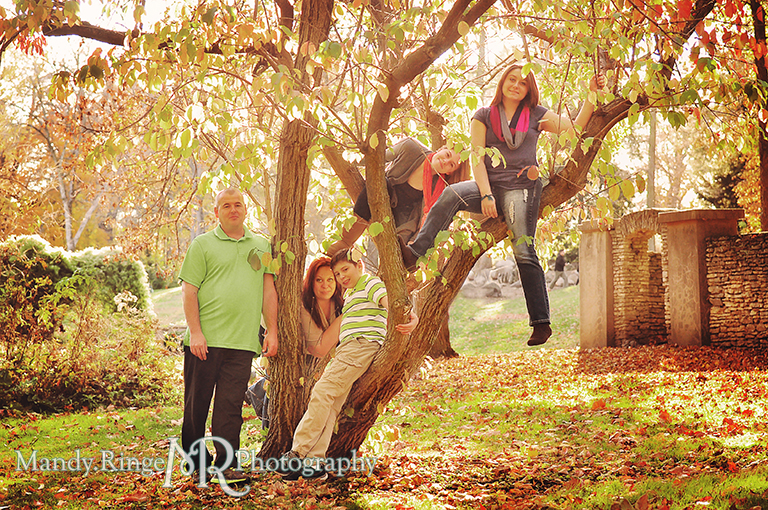 Autumn family portraits - Sitting in a tree // Fabyan Forest Preserve - Batavia, IL // by Mandy Ringe Photography