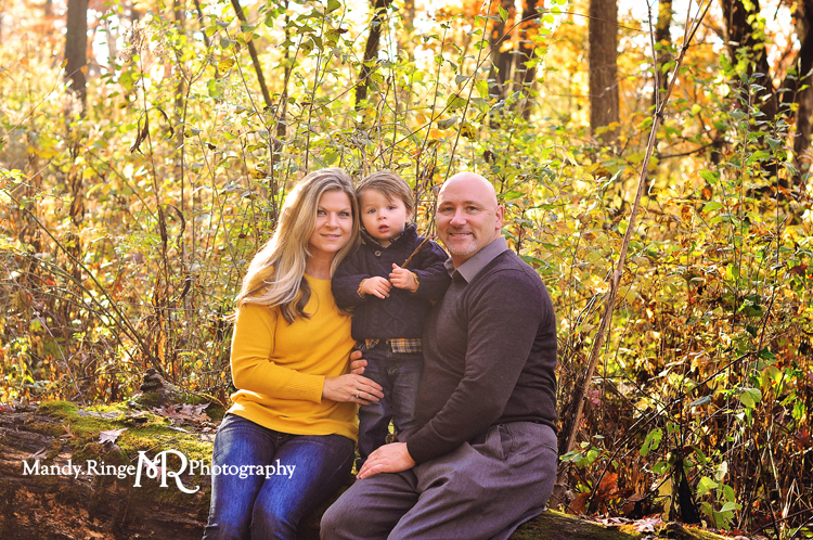 Fall family portraits // Fall foliage, sitting on a log // Delnor Woods - St Charles, IL // by Mandy Rnige Photography