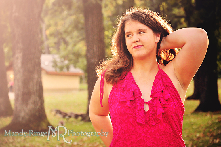 Teen girl portrait - Sweet Sixteen // Golden hour // Fabyan Forest Preserve // by Mandy Ringe Photography