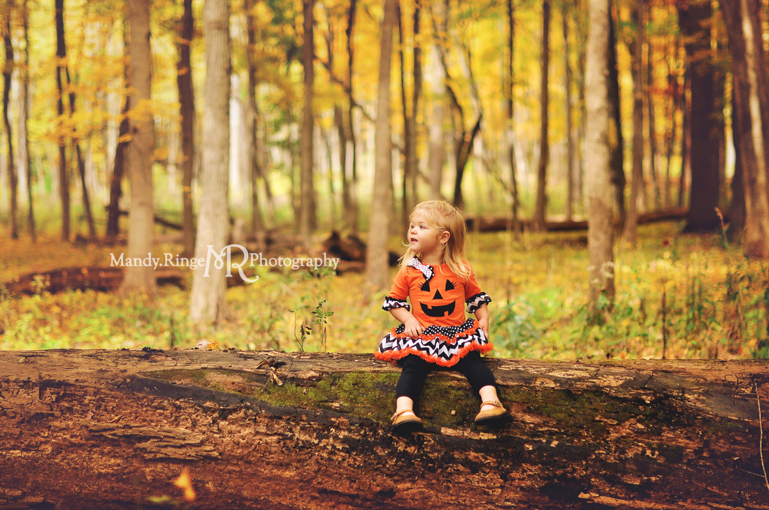 Halloween costume mini session // woods, maple grove, fall foliage, leave, pumpkin dress, fancy witch hat // Bliss Woods - Sugar Grove, IL // by Mandy Ringe Photography