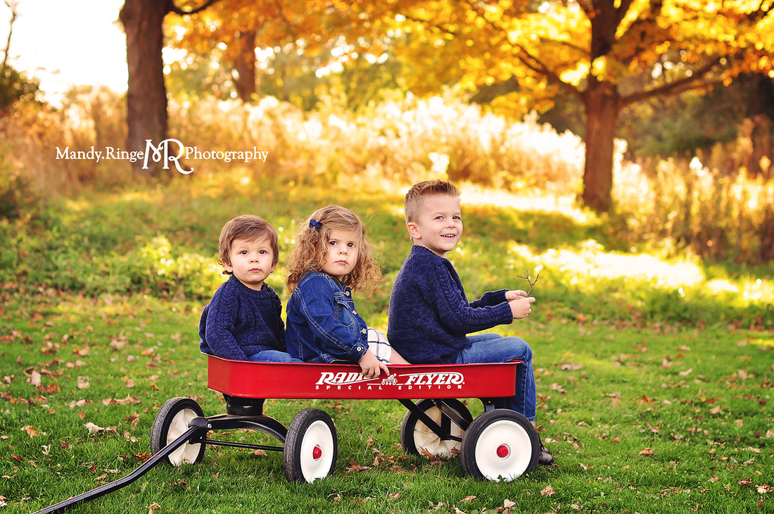 Fall family mini sessions // bright yellow trees, fall foliage, colorful leaves, Radio Flyer wagon // Leroy Oakes - St. Charles, IL // by Mandy Ringe Photography
