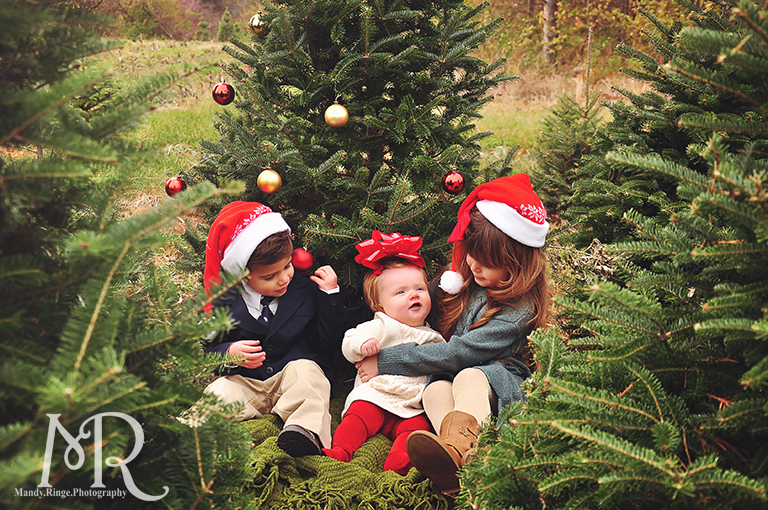 Family Christmas Portrait // Christmas Tree Farm // with red and gold decorated tree wearing Santa hats// by Mandy Ringe Photography