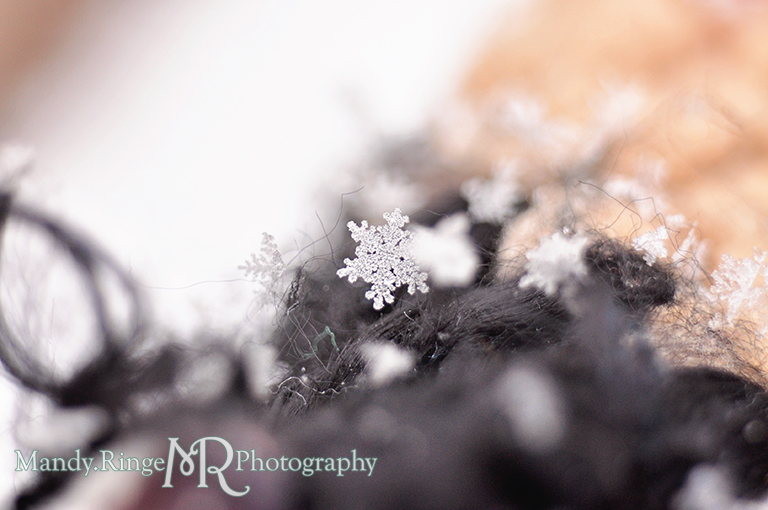 Snowflake macro // Black and tan scarf // St. Charles, IL // by Mandy Ringe Photography