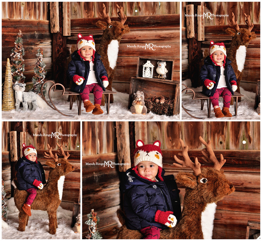Woodland Winter styled mini session // dark barnwood backdrop, white fur, woodland animals, stuffed, plush, animals, pine trees, sled bench // Peck Farm - Geneva, IL // by Mandy Ringe Photography