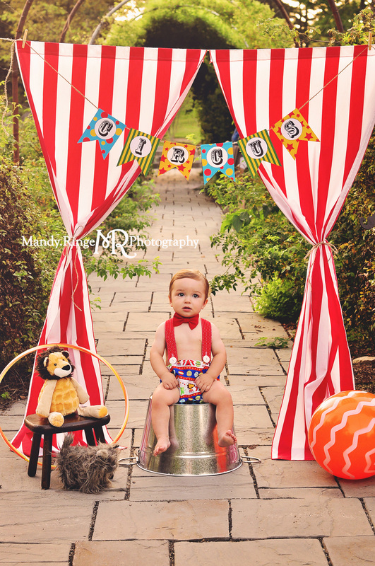 Circus themed first birthday portraits // outdoors, red and white stripes, stuffed lion, ball, hula hoop, stuffed dog, banner // Geneva, IL // by Mandy Ringe Photographer