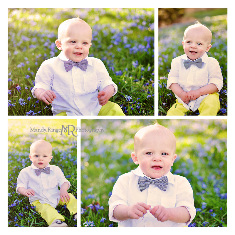 Spring portraits // 10 month old boy // blue flowers // Fabyan forest preserve - Geneva, IL // by Mandy Ringe Photography