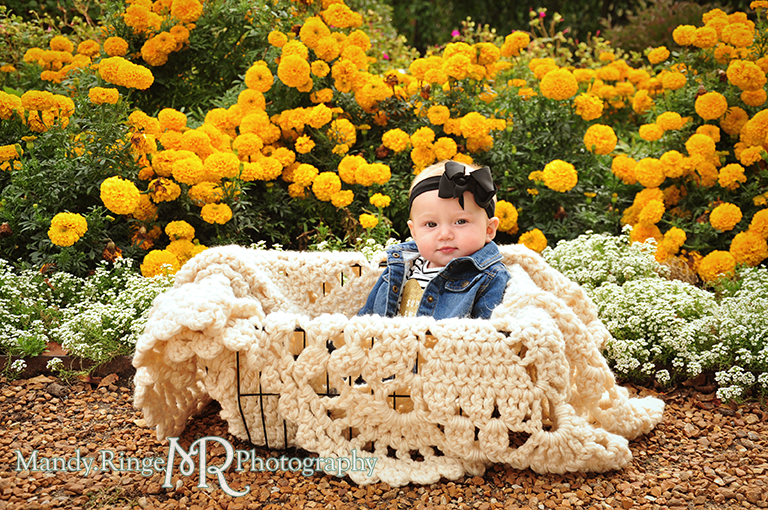 6 month old baby girl portraits // sitting in a basket with a crocheted blanket with marigolds // Cantigny Gardens - Wheaton, IL // by Mandy Ringe Photography