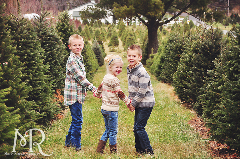 Family Christmas Portrait // Christmas Tree Farm // simple Christmas photo idea, kids walking away between rows of pine trees then stoppig to turn around // by Mandy Ringe Photography