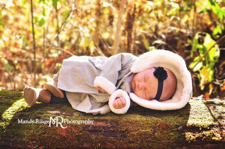 Fall extended family portraits // newborn, fall trees, leaves, sitting on a log // Delnor Woods Park - St. Charles, IL // by Mandy Ringe Photography