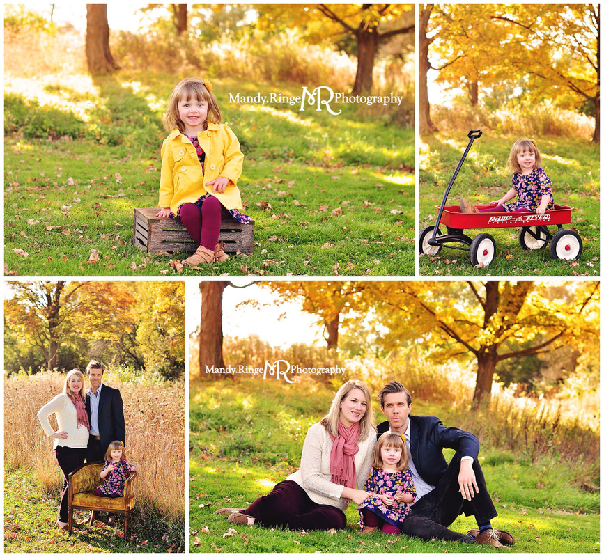 Fall family mini sessions // bright yellow trees, fall foliage, colorful leaves, Radio Flyer wagon // Leroy Oakes - St. Charles, IL // by Mandy Ringe Photography