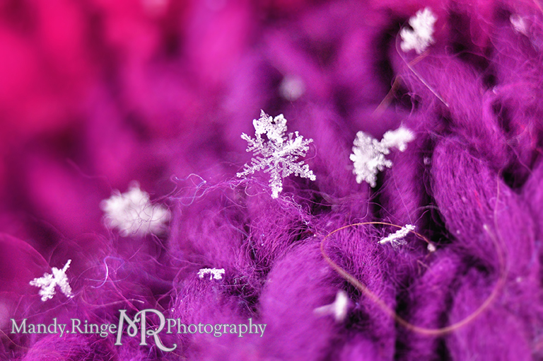 Snowflake macro // pink, purple, fuchsia scarf // St. Charles, IL // by Mandy Ringe Photography