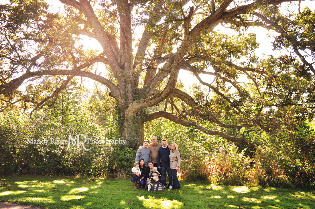Extended family portraits // outdoors, end of summer, big oak tree, navy blue, tan, gray // Delnor Woods - St. Charles, IL // by Mandy Ringe Photography