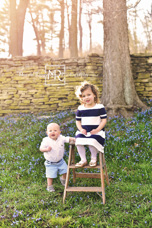 Spring family portraits // Boy and girl siblings, family of four, blue flowers // Fabyan Forest Preserve - Geneva, IL // by Mandy Ringe Photography