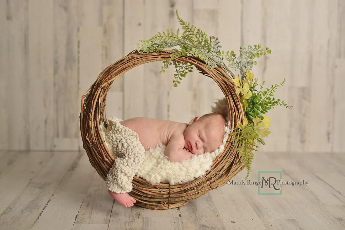 Newborn boy portraits // Basket prop, greenery, white, neutral, White Pine Home Depot Panels // St. Charles, IL studio // by Mandy Ringe Photography