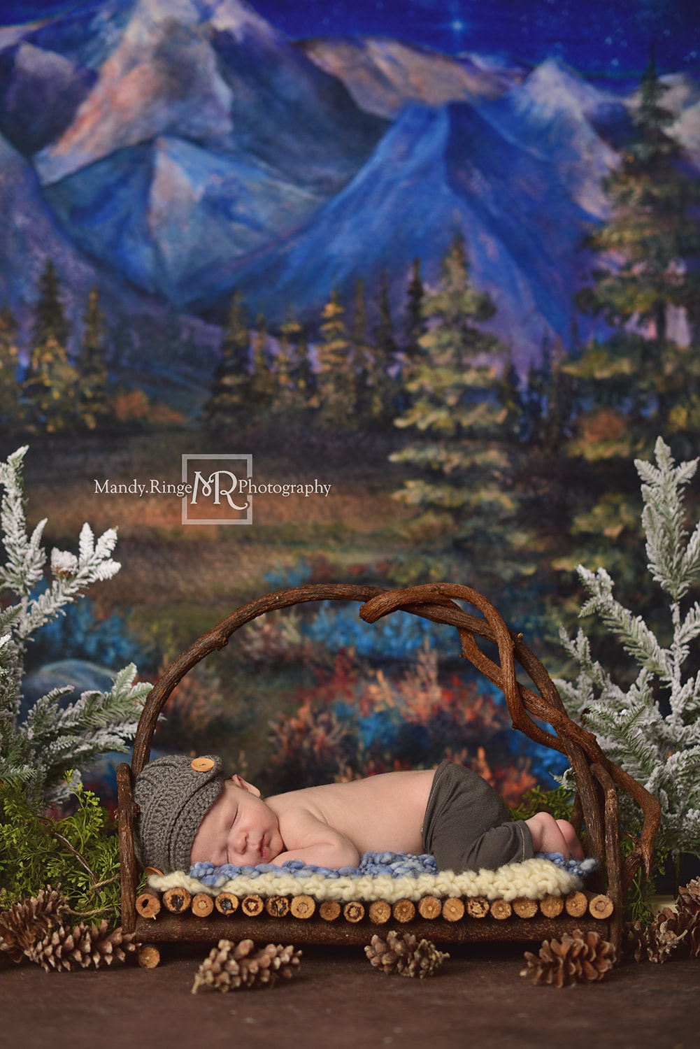 Newborn boy portraits // Fake pine trees, pinecones, twig bed, Under the Stars from Baby Dream Backdrops, Dirt Floordrop, Intuitions Backgrounds // St. Charles, IL studio // by Mandy Ringe Photography