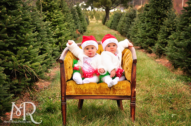 Family Christmas Portrait // Christmas Tree Farm // sitting in an antique chair with gold cushions // by Mandy Ringe Photography