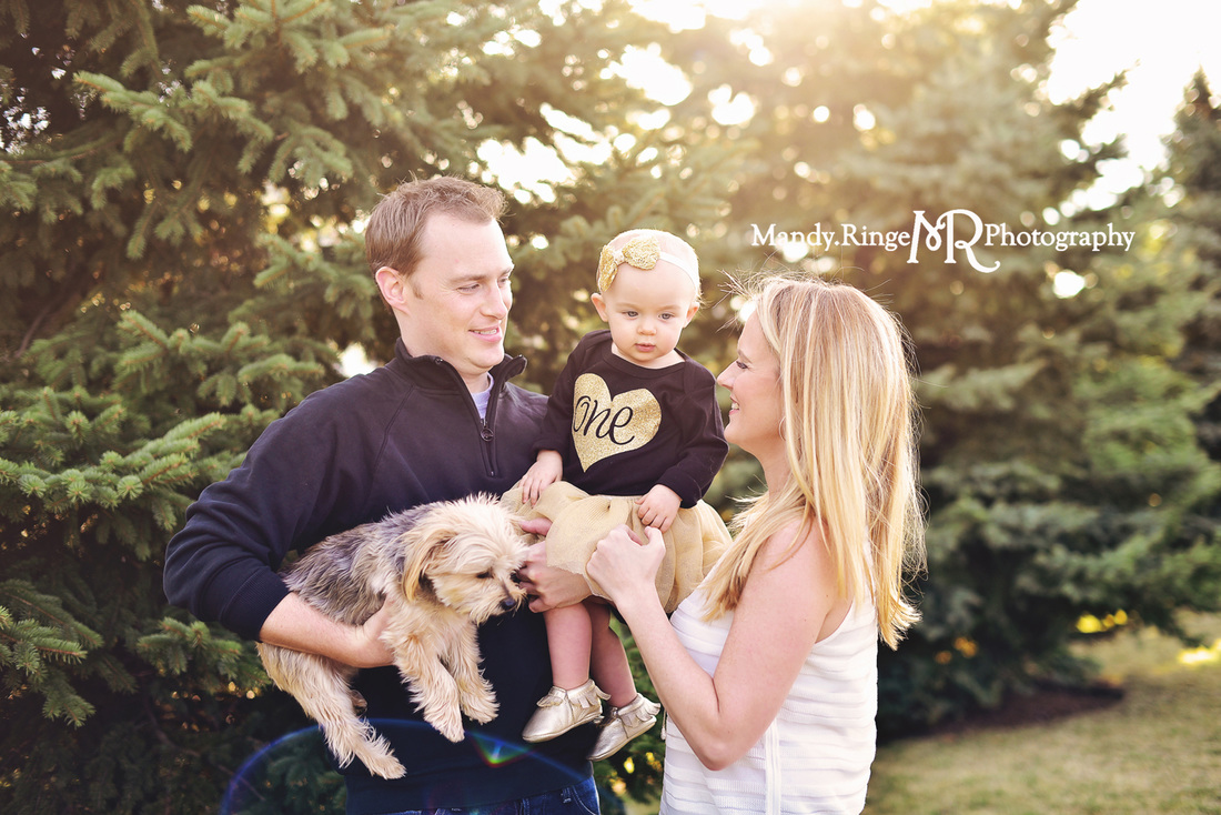 First birthday portraits // family photos, outdoors, black and gold // by Mandy Ringe Photography