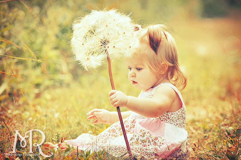 Baby girl holding giant dandelion // Ferson Creek Fen // by Mandy Ringe Photography