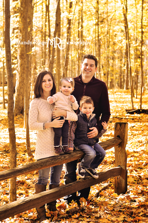 Fall family portraits // Yellow maple tree grove, leaves, forest, woods, wooden fence // River Trail Nature Center - Northbrook, IL // by Mandy Ringe Photography