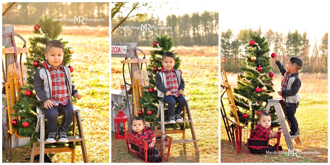 Hot Cocoa Stand styled mini session // sunny day, open field, pine trees, christmas tree, vintage sled, plaid thermos, wooden stand, marshmallows // St Charles, IL // by Mandy Ringe Photography