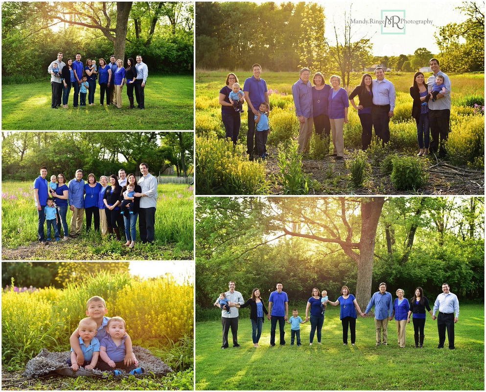 Extended family portraits // Outdoor, wild mustard field, backlighting, wildflowers, blue, black, gray // Leroy Oakes - St. Charles, IL // by Mandy Ringe Photography