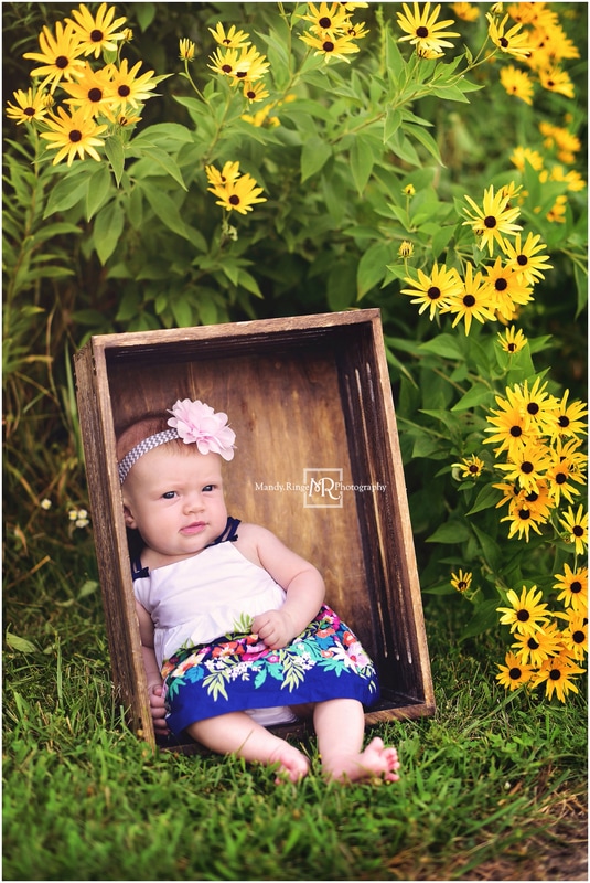 3 month milestone portraits // baby girl, outdoors, summer // Leroy Oakes - St. Charles, IL // by Mandy Ringe Photography