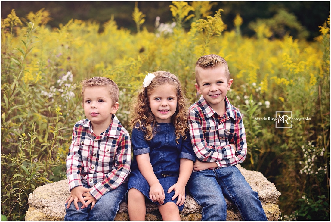 Sibling portraits // rustic, barn, outdoors, plaid, denim, children, kids // Leroy Oakes Forest Preserve - St. Charles, IL // by Mandy Ringe Photography