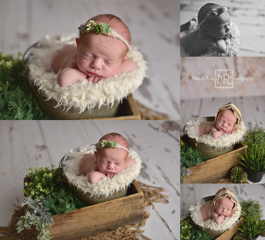 Newborn girl portrait session // floral, neutral, birch // by Mandy Ringe Photography // St. Charles, IL Photographer