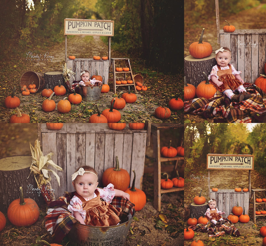 Pumpkin stand mini sessions // fall, autumn, pumpkin patch, wooden stand, caramel apples, dirt road, tree tunnel, outdoors // St. Charles, IL Photographer // by Mandy Ringe Photography