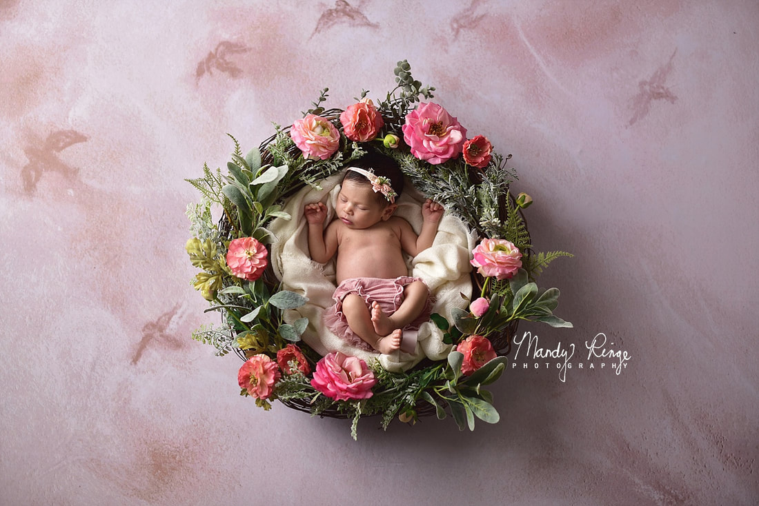Newborn girl portraits // floral wreath, pink flowers, Intuitions Backdrops // St. Charles, IL Photographer // by Mandy Ringe Photography