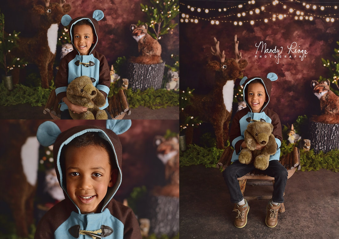 Sibling milestone session // nature, animals, deer, fox, owl, rabbit, Kate Backdrops // St. Charles, IL // by Mandy Ringe Photography