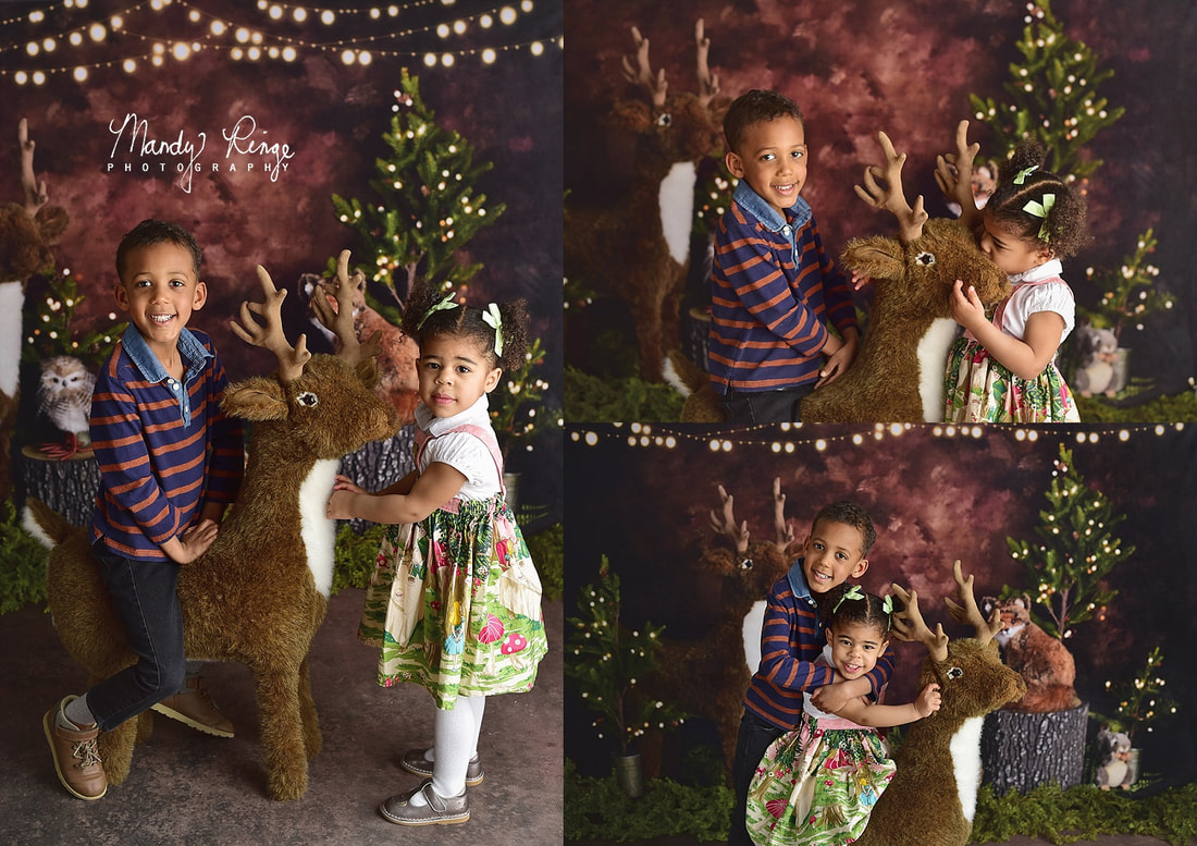 Sibling milestone session // nature, animals, deer, fox, owl, rabbit, Kate Backdrops // St. Charles, IL // by Mandy Ringe Photography