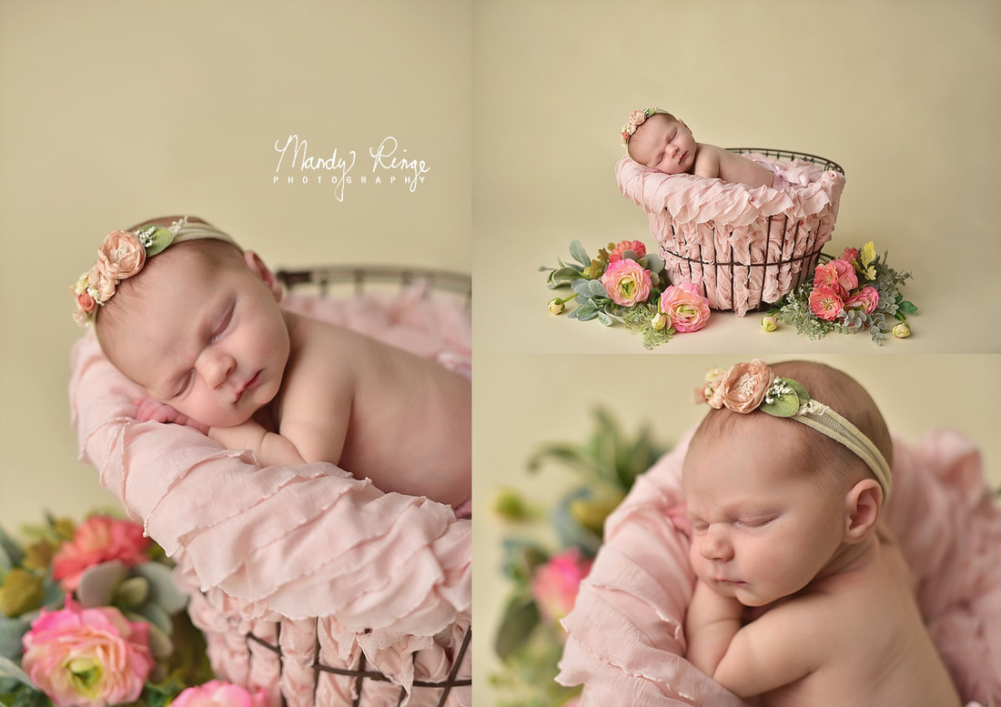 Girl newborn portrait session // pink and purple, floral, flowers // St. Charles, IL // by Mandy Ringe Photography